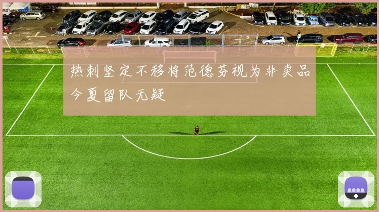 热刺坚定不移将范德芬视为非卖品今夏留队无疑